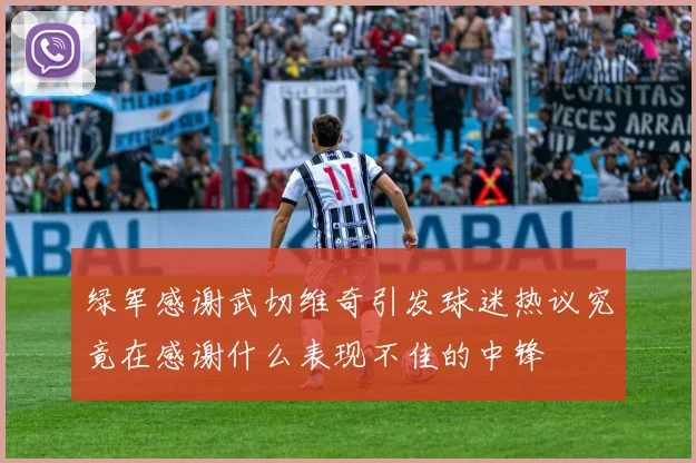 绿军感谢武切维奇引发球迷热议究竟在感谢什么表现不佳的中锋