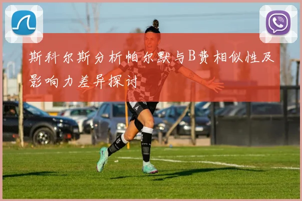斯科尔斯分析帕尔默与B费相似性及影响力差异探讨